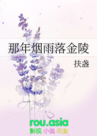 那年烟雨那年花电视剧